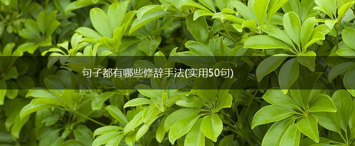 句子都有哪些修辞手法(实用50句),第1张