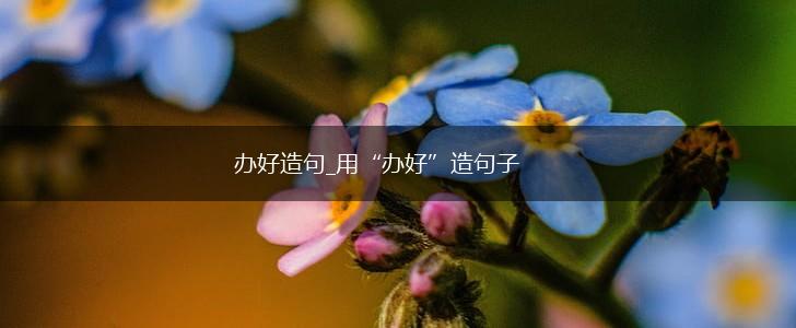 办好造句_用“办好”造句子,第1张