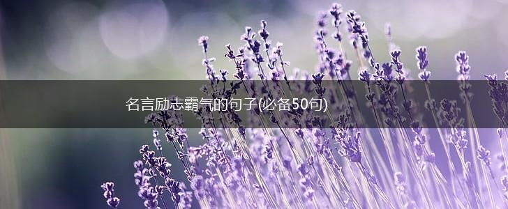 名言励志霸气的句子(必备50句),第1张