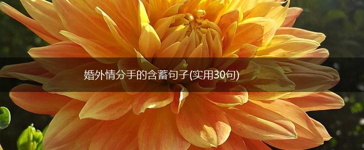 婚外情分手的含蓄句子(实用30句),第1张