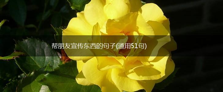 帮朋友宣传东西的句子(通用51句),第1张