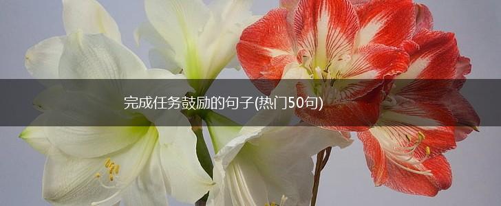 完成任务鼓励的句子(热门50句),第1张