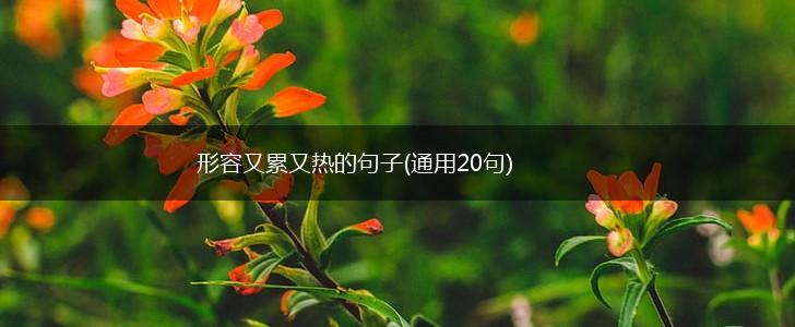 形容又累又热的句子(通用20句),第1张