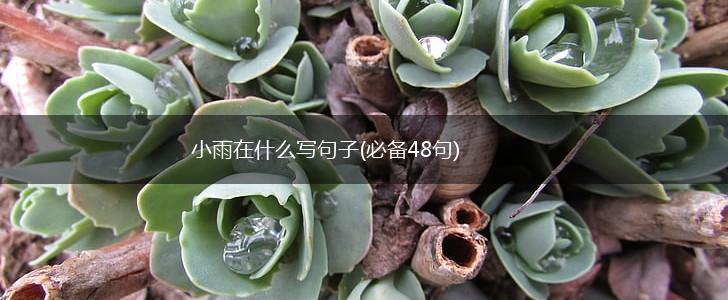 小雨在什么写句子(必备48句),第1张