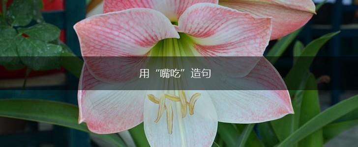 用“嘴吃”造句,第1张
