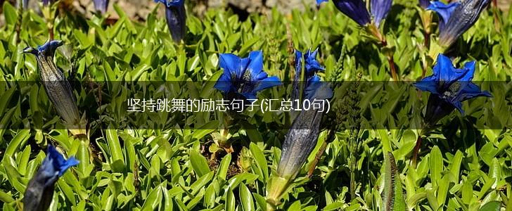 坚持跳舞的励志句子(汇总10句),第1张