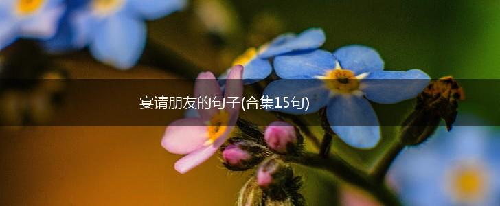 宴请朋友的句子(合集15句),第1张