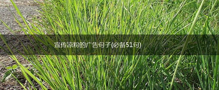 宣传凉粉的广告句子(必备51句),第1张