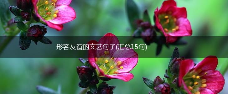 形容友谊的文艺句子(汇总15句),第1张
