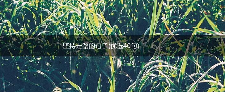 坚持走路的句子(优选40句),第1张
