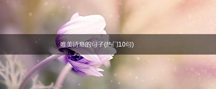 唯美诗意的句子(热门10句),第1张