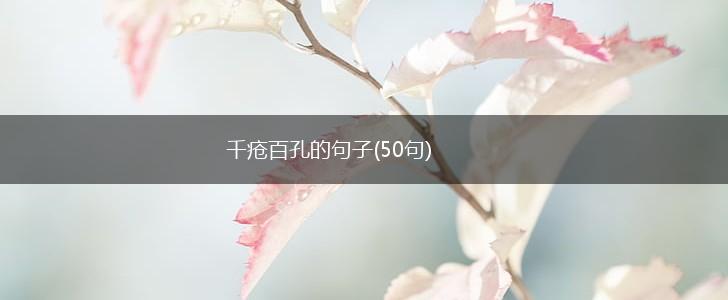 千疮百孔的句子(50句),第1张