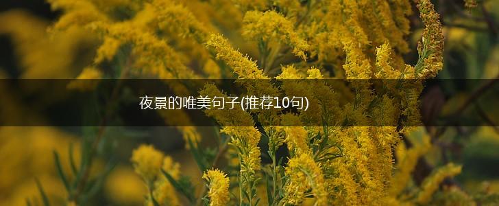 夜景的唯美句子(推荐10句),第1张