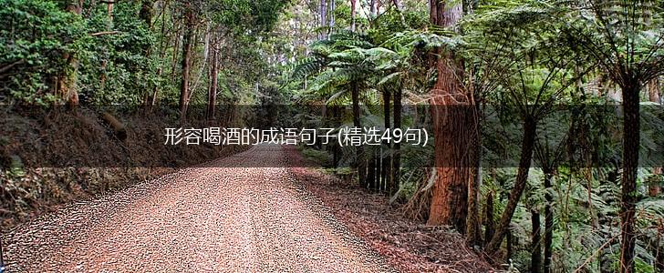 形容喝酒的成语句子(精选49句),第1张