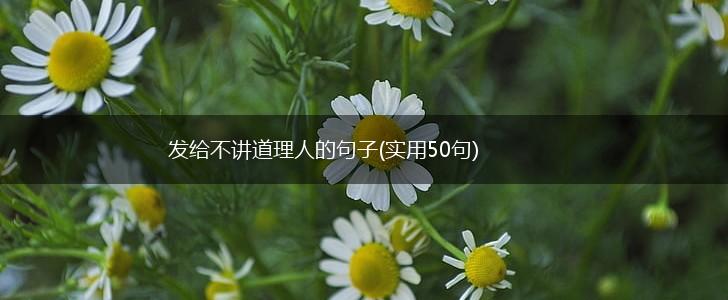 发给不讲道理人的句子(实用50句),第1张