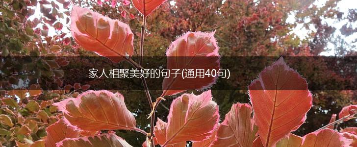 家人相聚美好的句子(通用40句),第1张