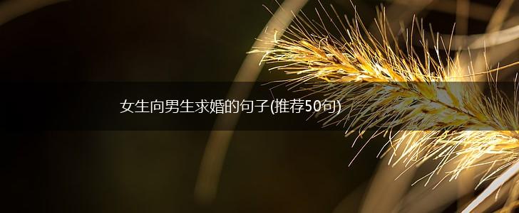 女生向男生求婚的句子(推荐50句),第1张
