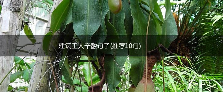 建筑工人辛酸句子(推荐10句),第1张