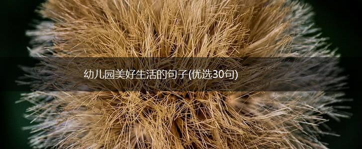 幼儿园美好生活的句子(优选30句),第1张