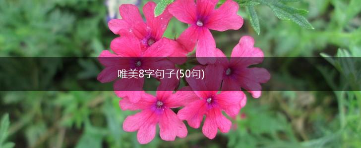 唯美8字句子(50句),第1张