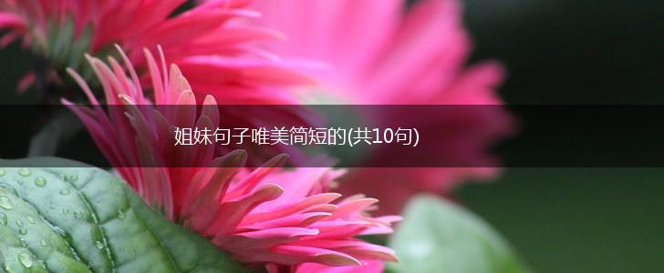 姐妹句子唯美简短的(共10句),第1张