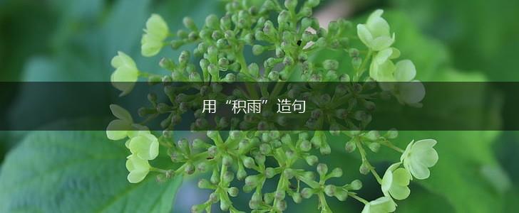 用“积雨”造句,第1张