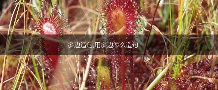 多边造句,用多边怎么造句,第1张