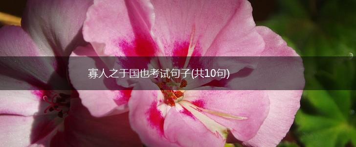 寡人之于国也考试句子(共10句),第1张