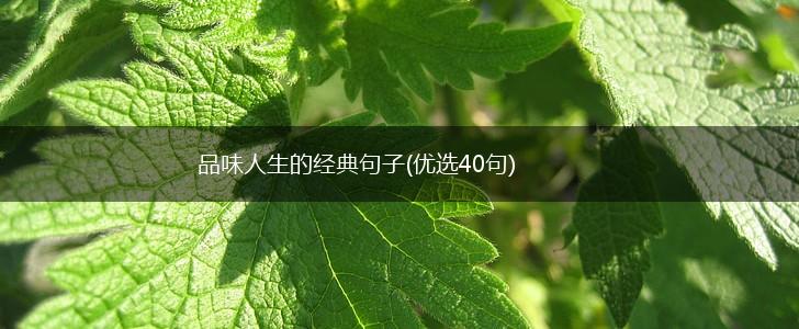 品味人生的经典句子(优选40句),第1张