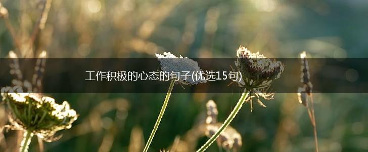 工作积极的心态的句子(优选15句),第1张