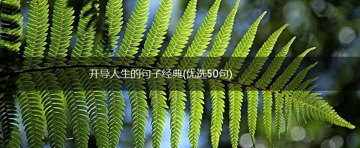 开导人生的句子经典(优选50句),第1张