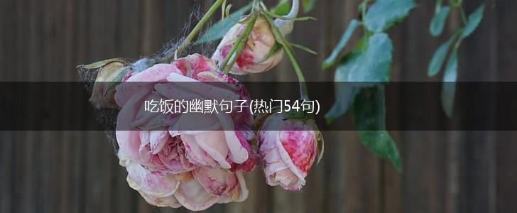 吃饭的幽默句子(热门54句),第1张