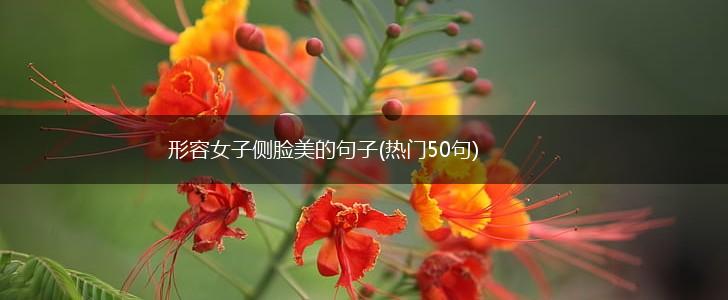 形容女子侧脸美的句子(热门50句),第1张