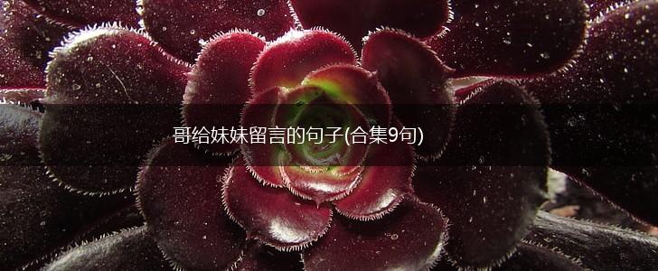 哥给妹妹留言的句子(合集9句),第1张