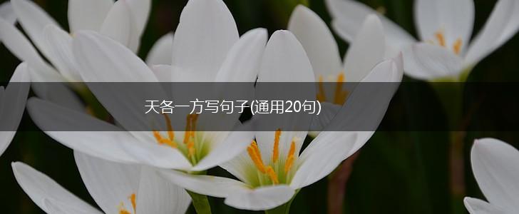天各一方写句子(通用20句),第1张