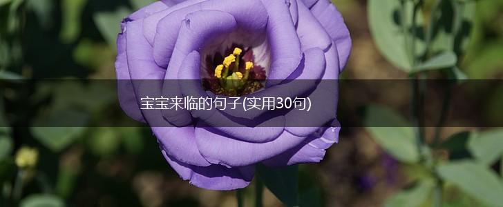 宝宝来临的句子(实用30句),第1张