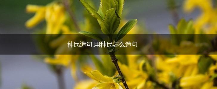 种民造句,用种民怎么造句,第1张