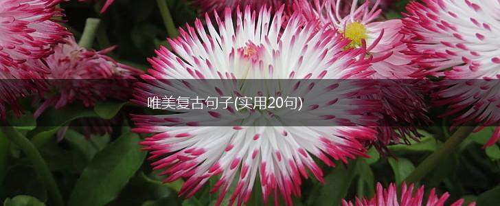 唯美复古句子(实用20句),第1张