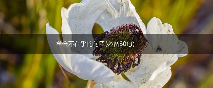 学会不在乎的句子(必备30句),第1张