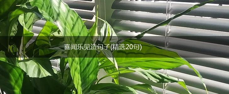 喜闻乐见造句子(精选20句),第1张