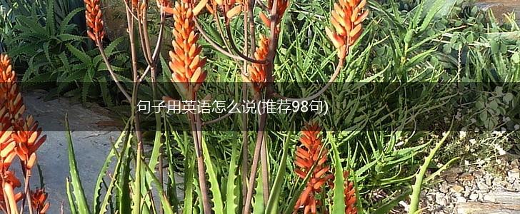 句子用英语怎么说(推荐98句),第1张