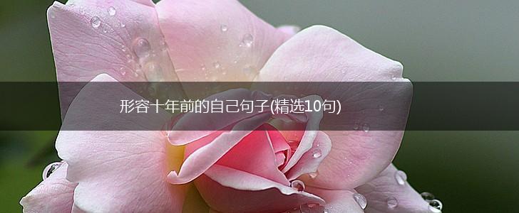 形容十年前的自己句子(精选10句),第1张
