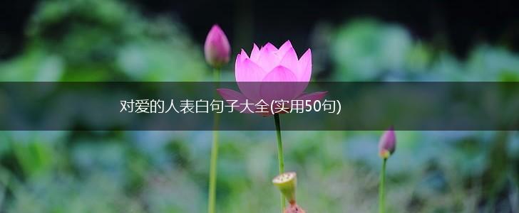 对爱的人表白句子大全(实用50句),第1张
