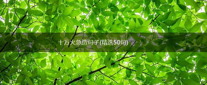 十万火急造句子(精选50句),第1张