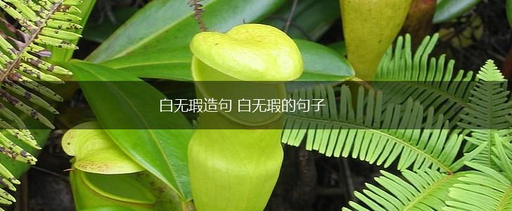 白无瑕造句 白无瑕的句子,第1张