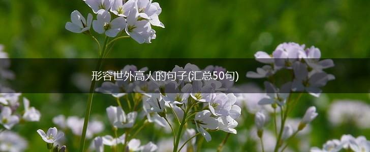 形容世外高人的句子(汇总50句),第1张