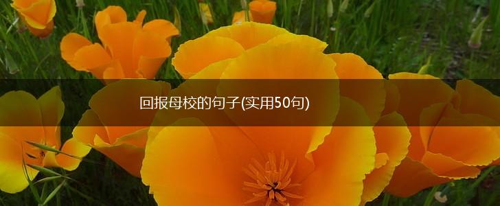回报母校的句子(实用50句),第1张