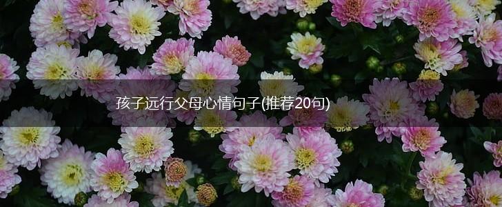 孩子远行父母心情句子(推荐20句),第1张