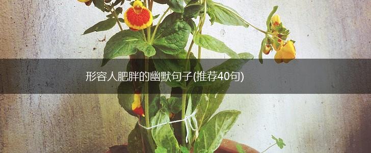 形容人肥胖的幽默句子(推荐40句),第1张