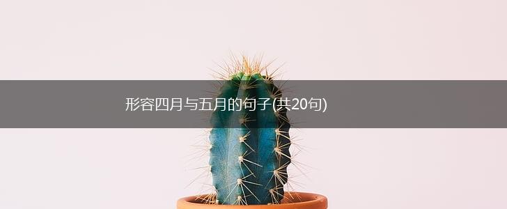 形容四月与五月的句子(共20句),第1张